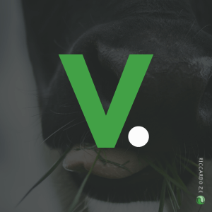 Che cosa significa la v di vegan